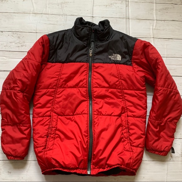 The North Face Other - The North Face Puffer Jacket